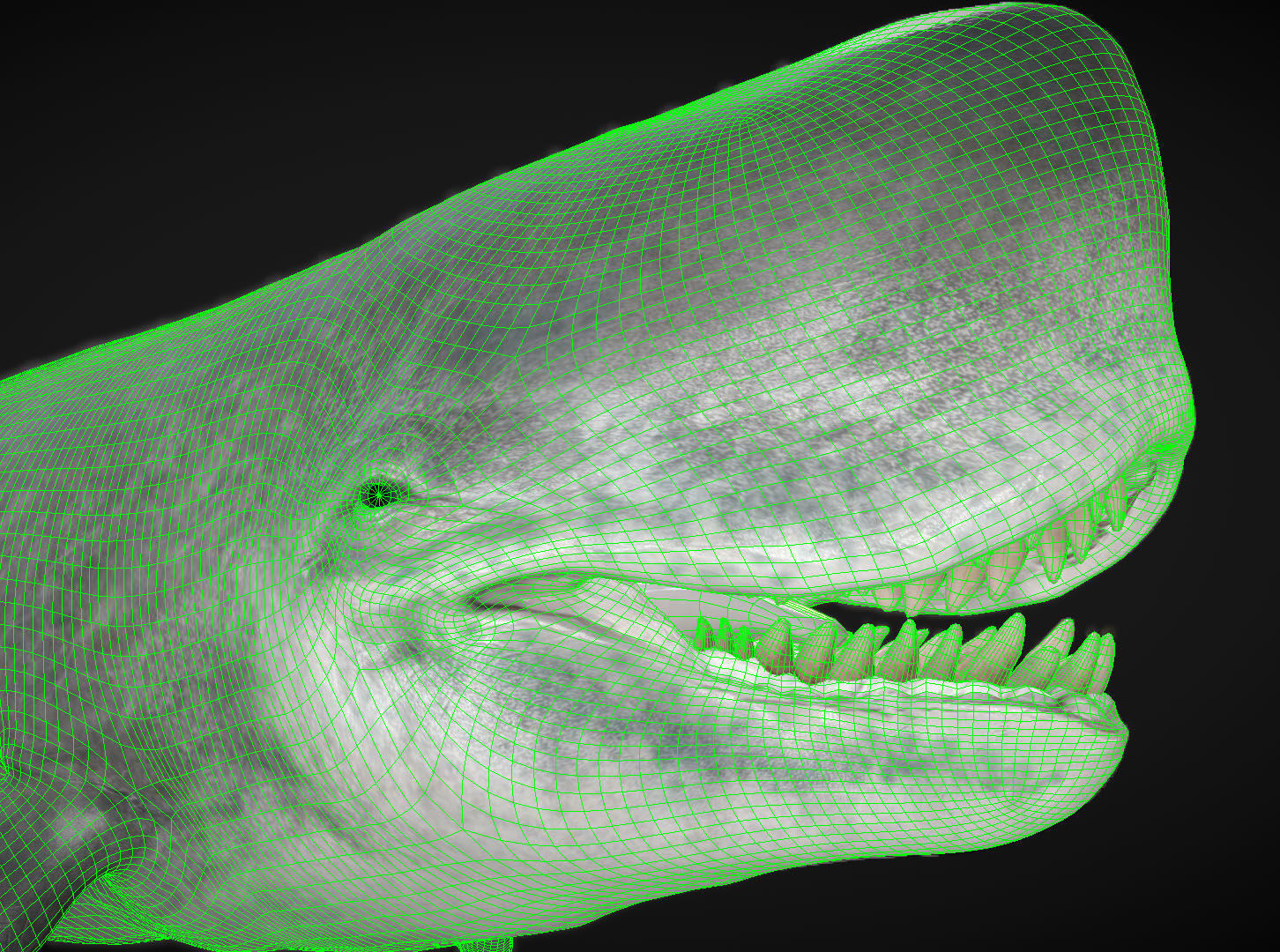 Livyatan Low-poly 3D model_1