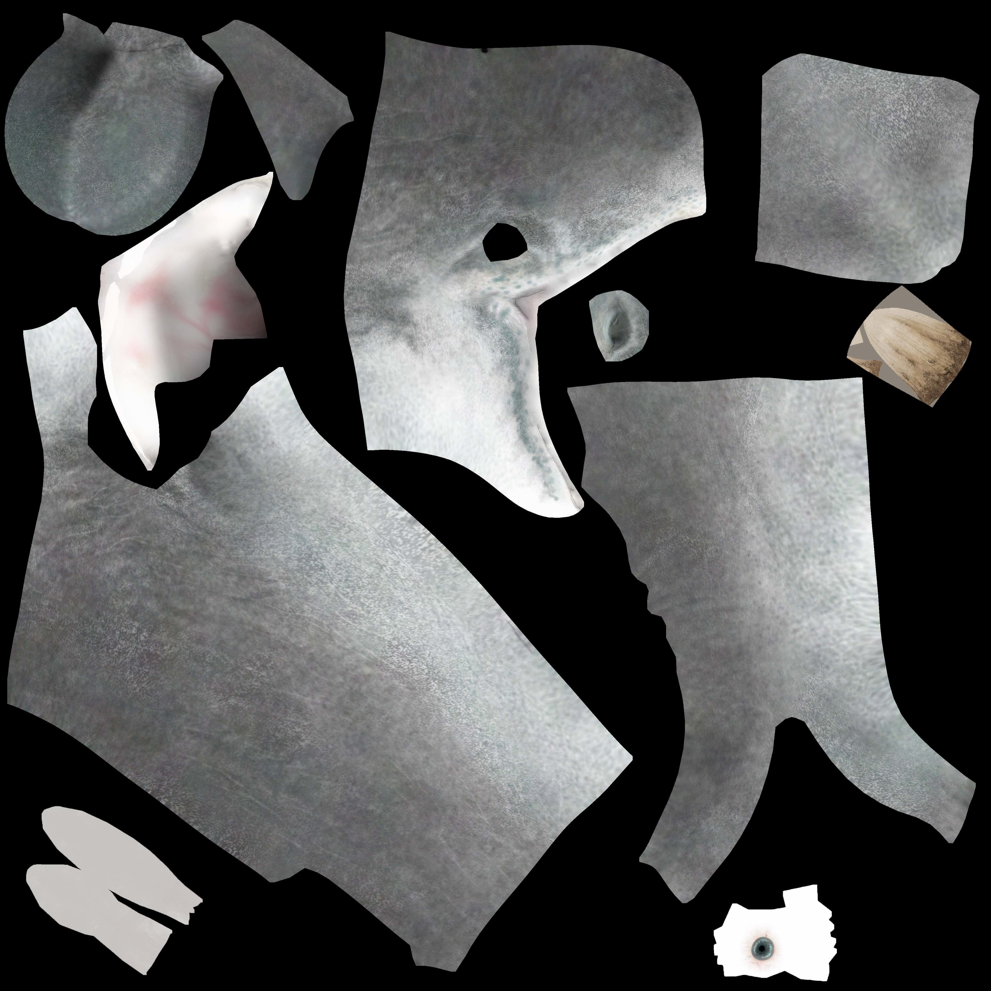 Livyatan Low-poly 3D model_4