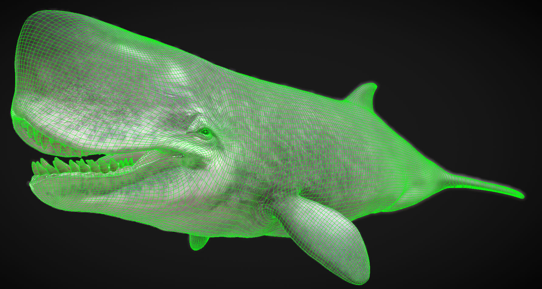 Livyatan Low-poly 3D model_3