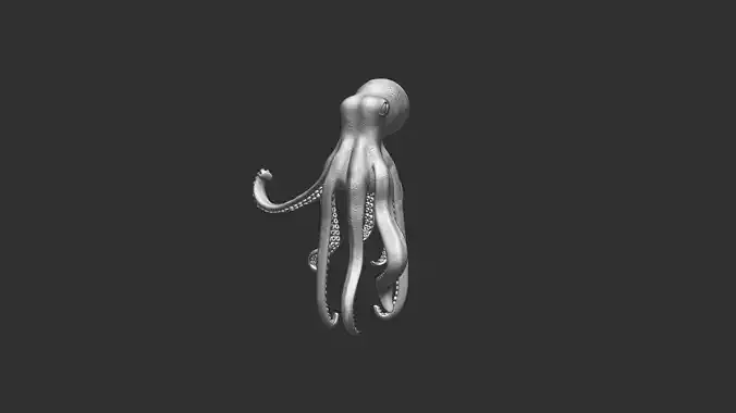 Octopus 3d model for 3D printing