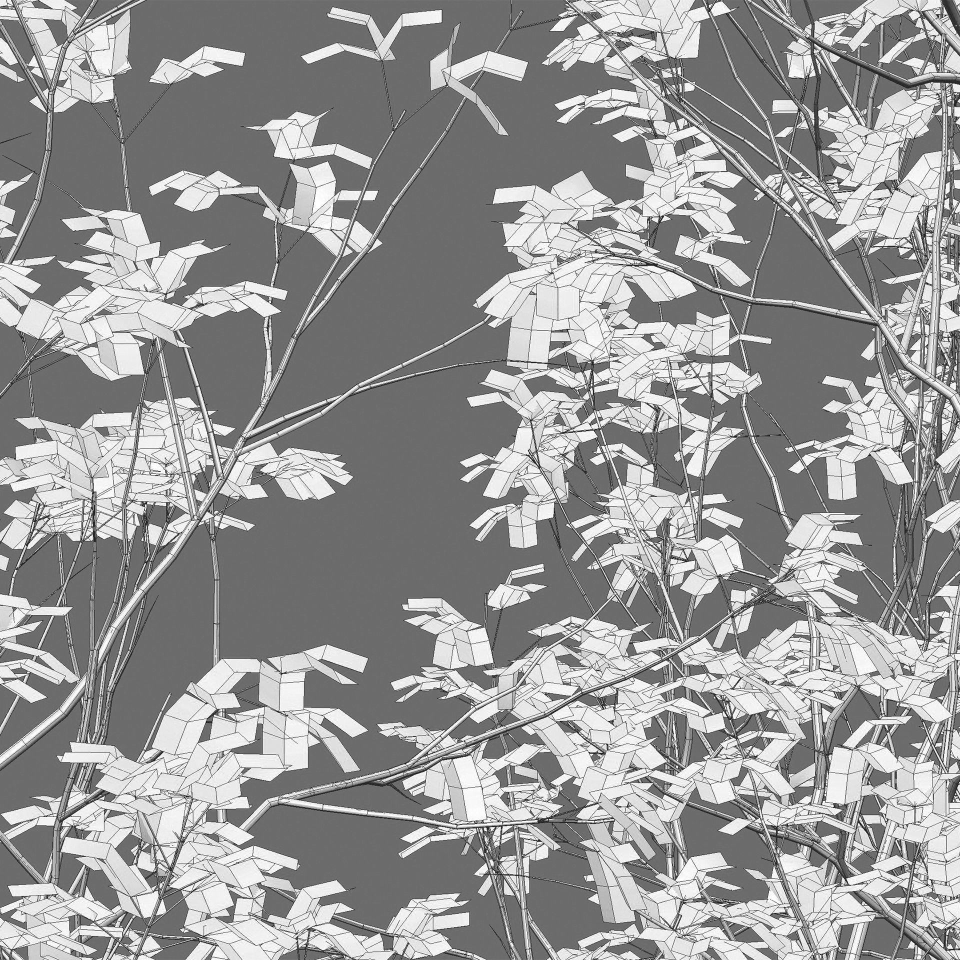 Acer Griseum - Paperbark Maple Low-poly 3D model_3