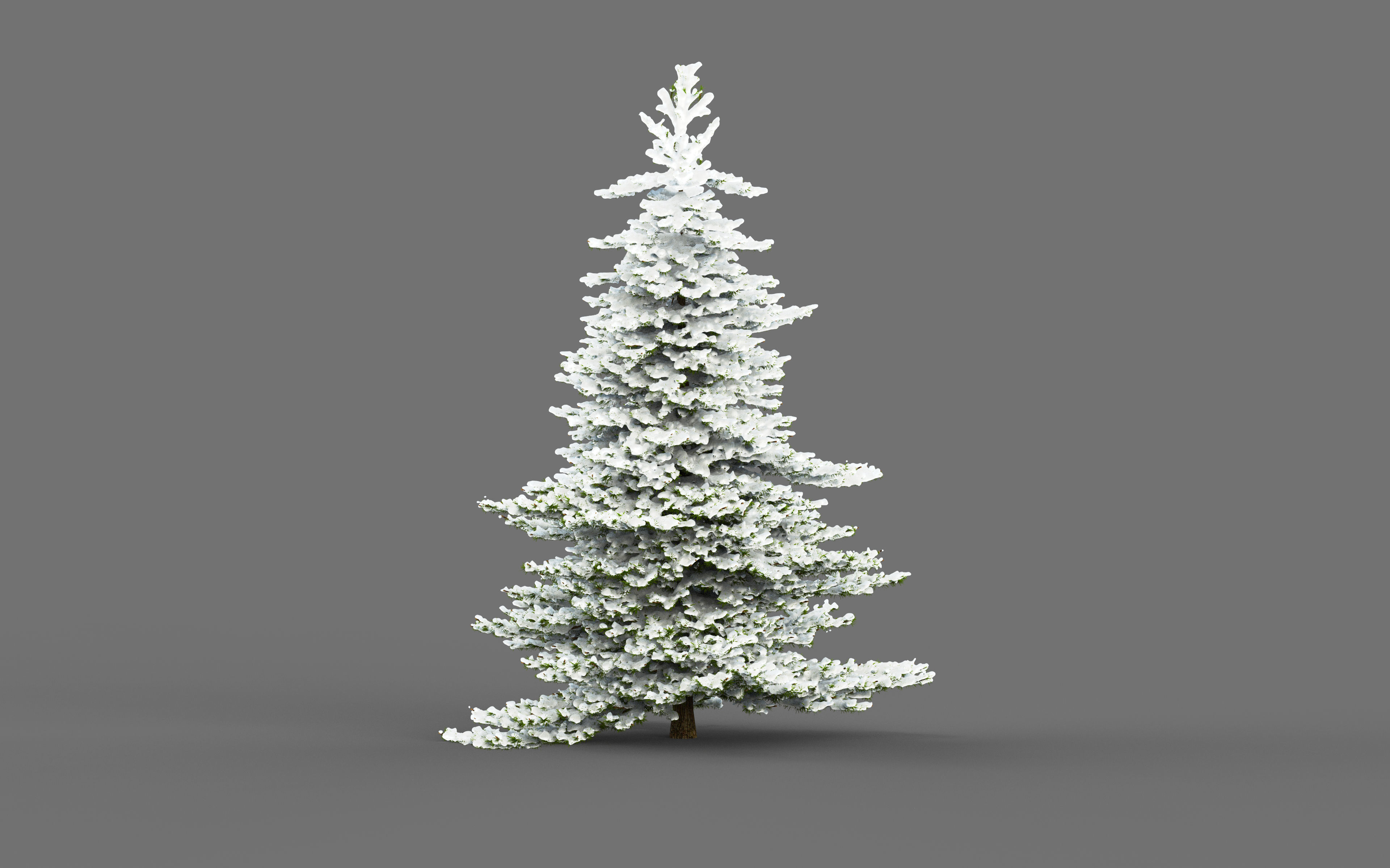 Dosch 3D - Christmas V3 3D model_1