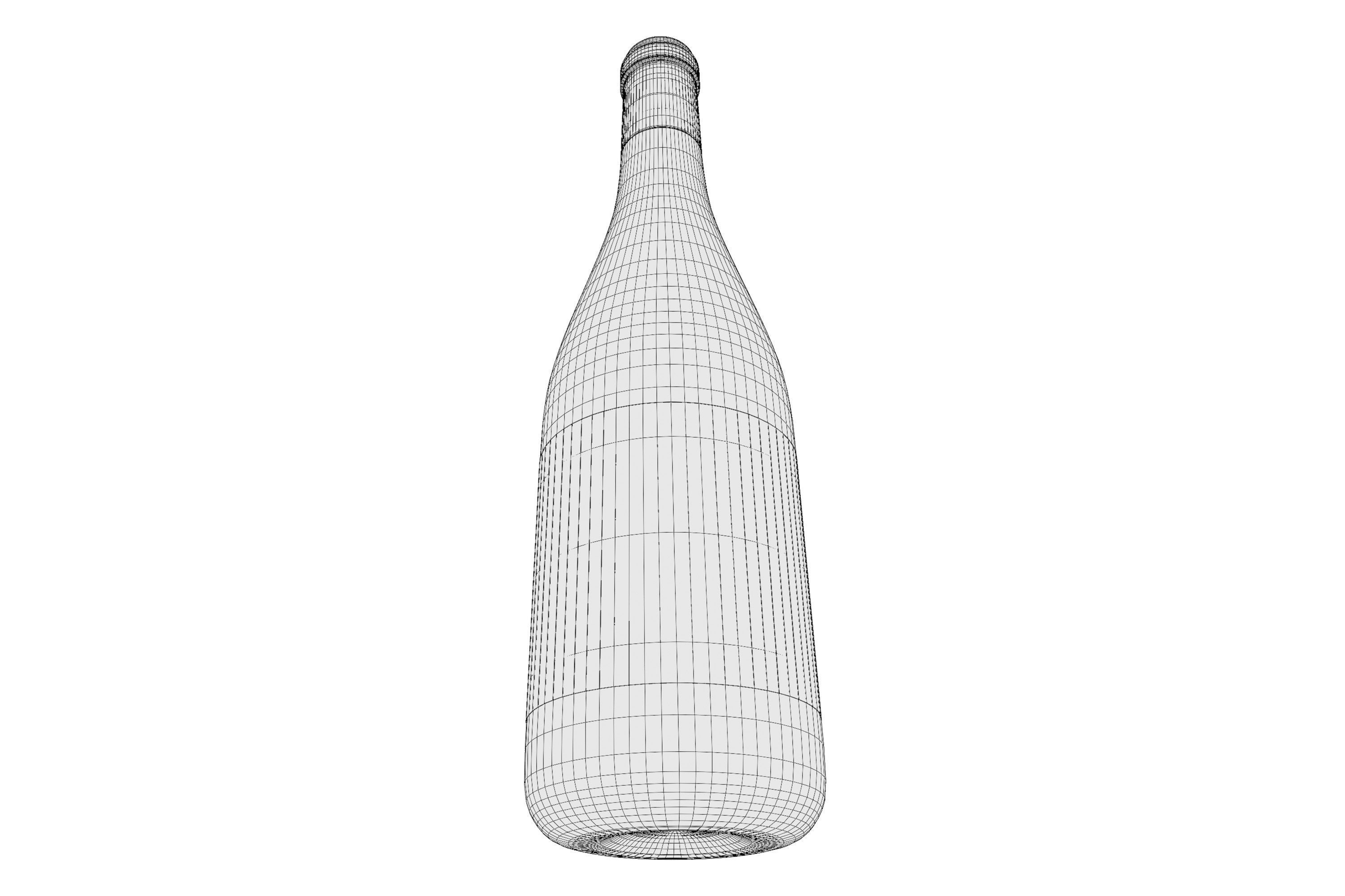 Champagne bottle 01 3D model_5