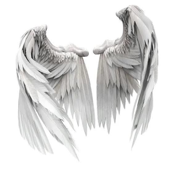 Angel wing Low-poly 3D model_3
