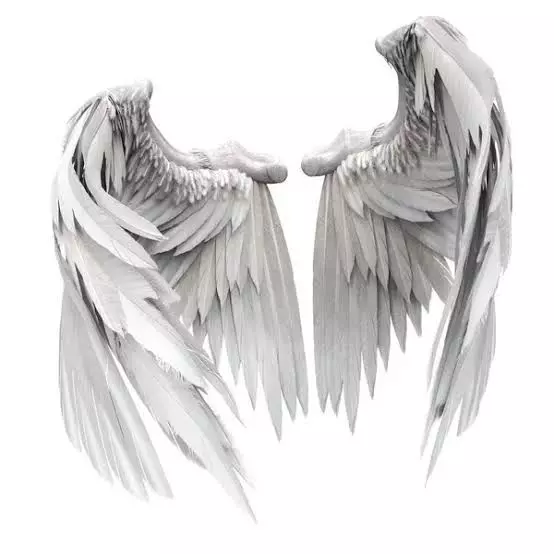 Angel wing Low-poly 3D model_0