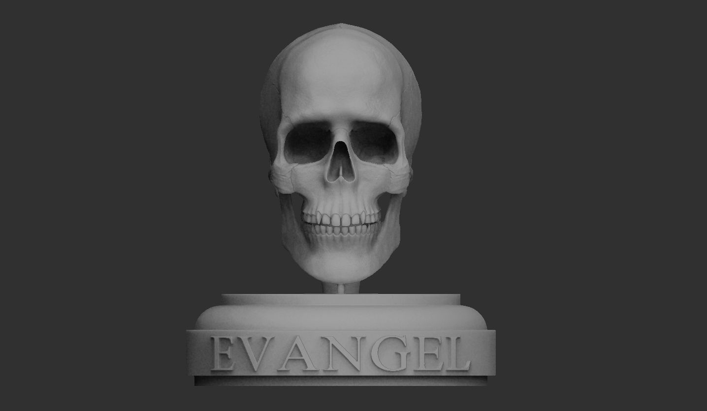 3D Printable Realistic Human Skull Model 3D print model_11