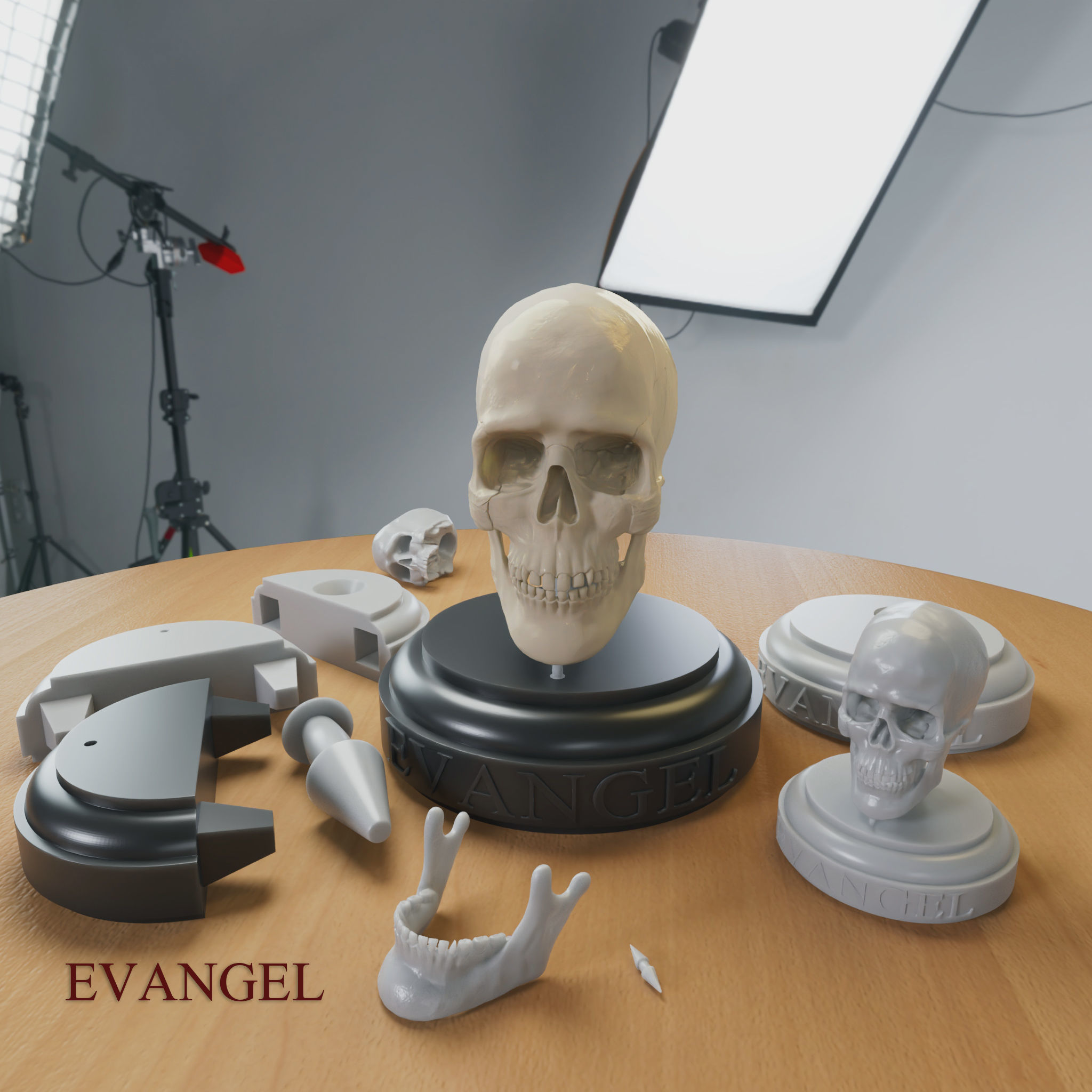 3D Printable Realistic Human Skull Model 3D print model_2