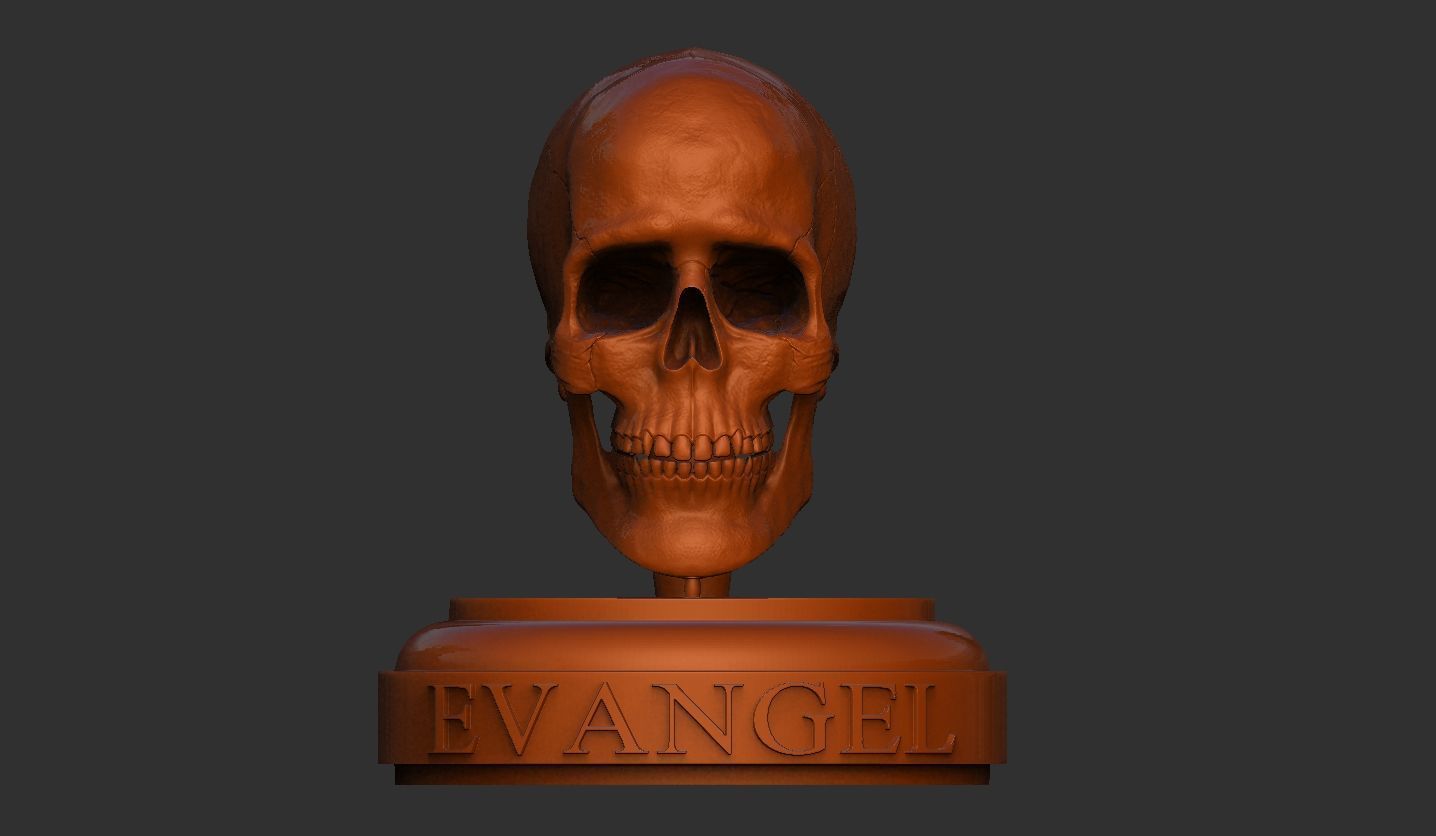 3D Printable Realistic Human Skull Model 3D print model_12