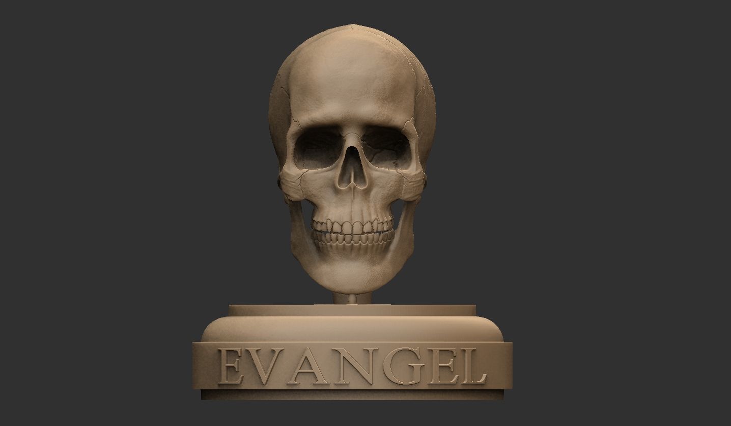 3D Printable Realistic Human Skull Model 3D print model_6
