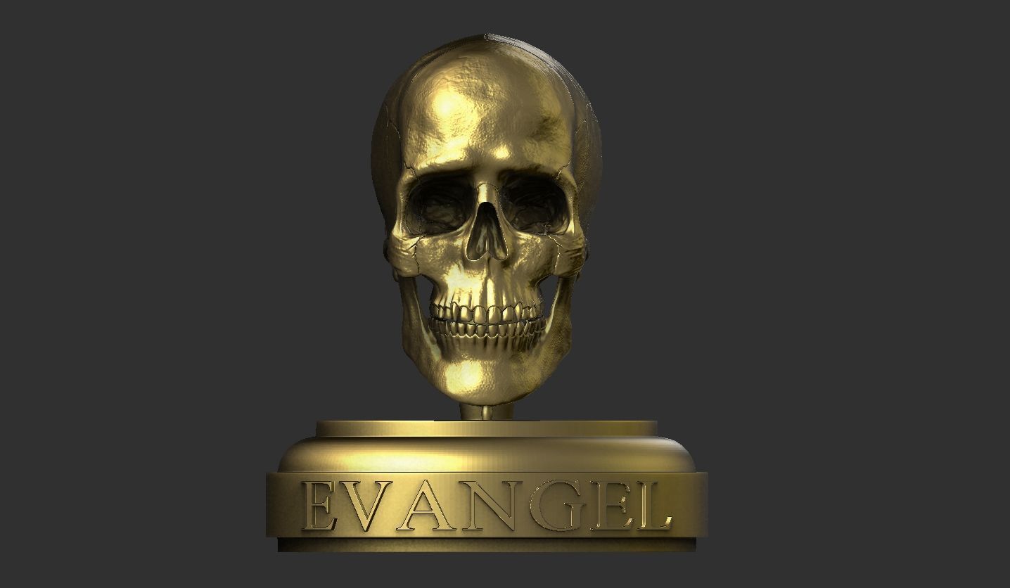 3D Printable Realistic Human Skull Model 3D print model_13
