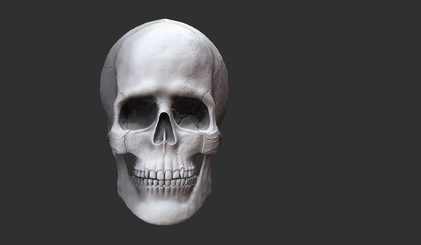 3D Printable Realistic Human Skull Model 3D print model_19