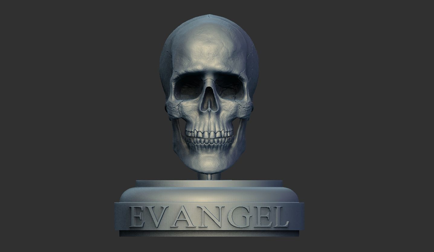 3D Printable Realistic Human Skull Model 3D print model_14