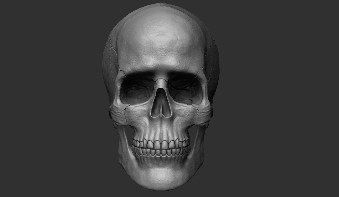 3D Printable Realistic Human Skull Model 3D print model_3