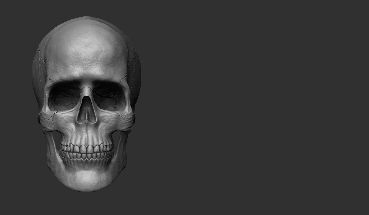 3D Printable Realistic Human Skull Model 3D print model_4