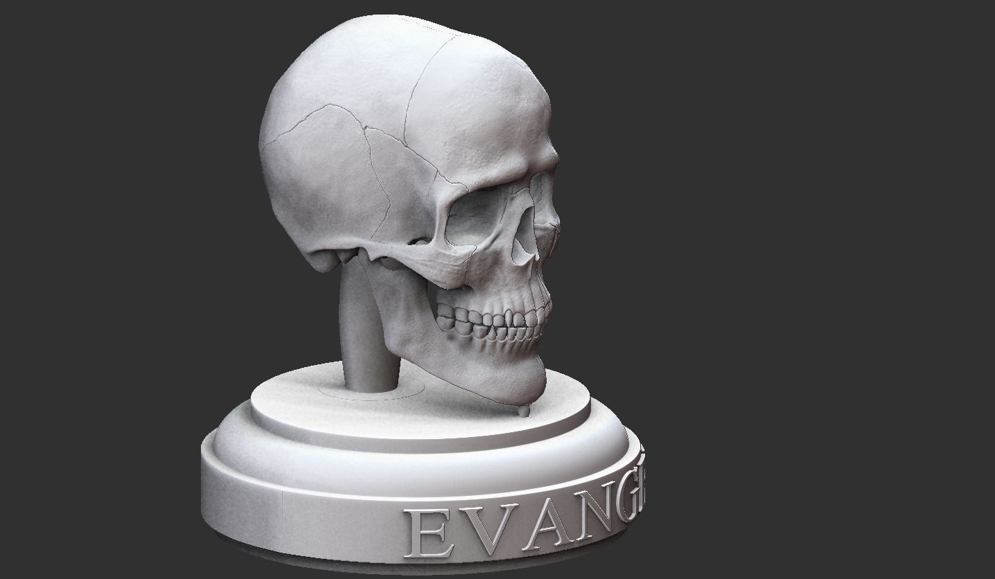 3D Printable Realistic Human Skull Model 3D print model_25