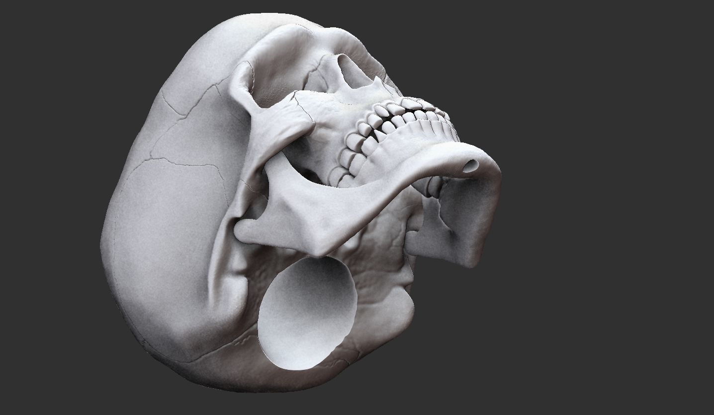 3D Printable Realistic Human Skull Model 3D print model_20