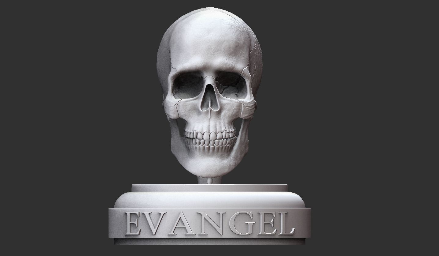 3D Printable Realistic Human Skull Model 3D print model_22