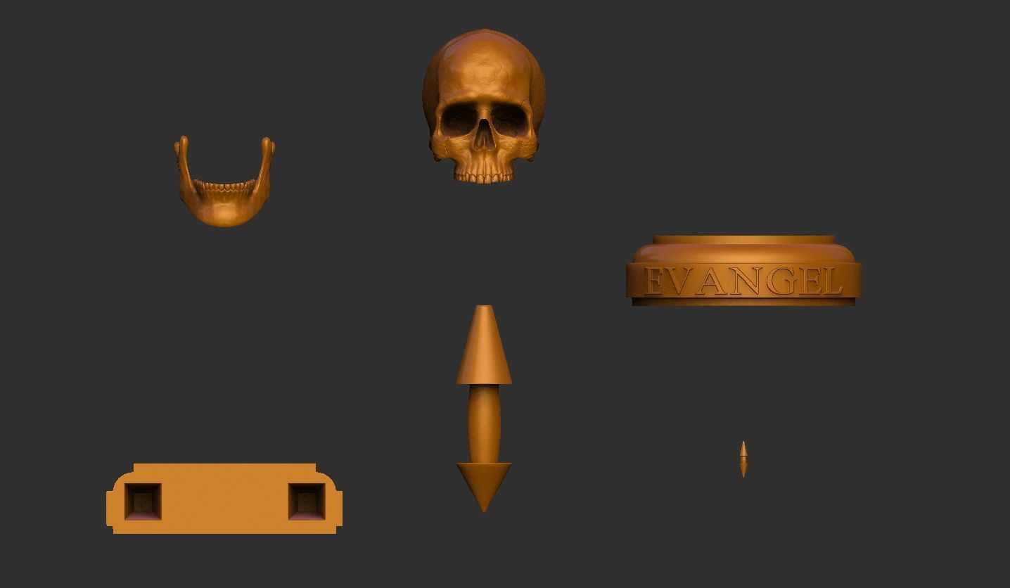 3D Printable Realistic Human Skull Model 3D print model_26