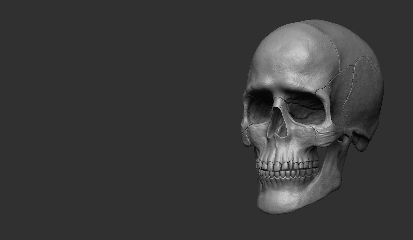 3D Printable Realistic Human Skull Model 3D print model_5