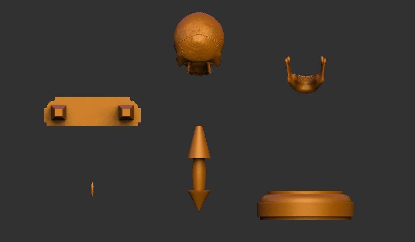 3D Printable Realistic Human Skull Model 3D print model_27