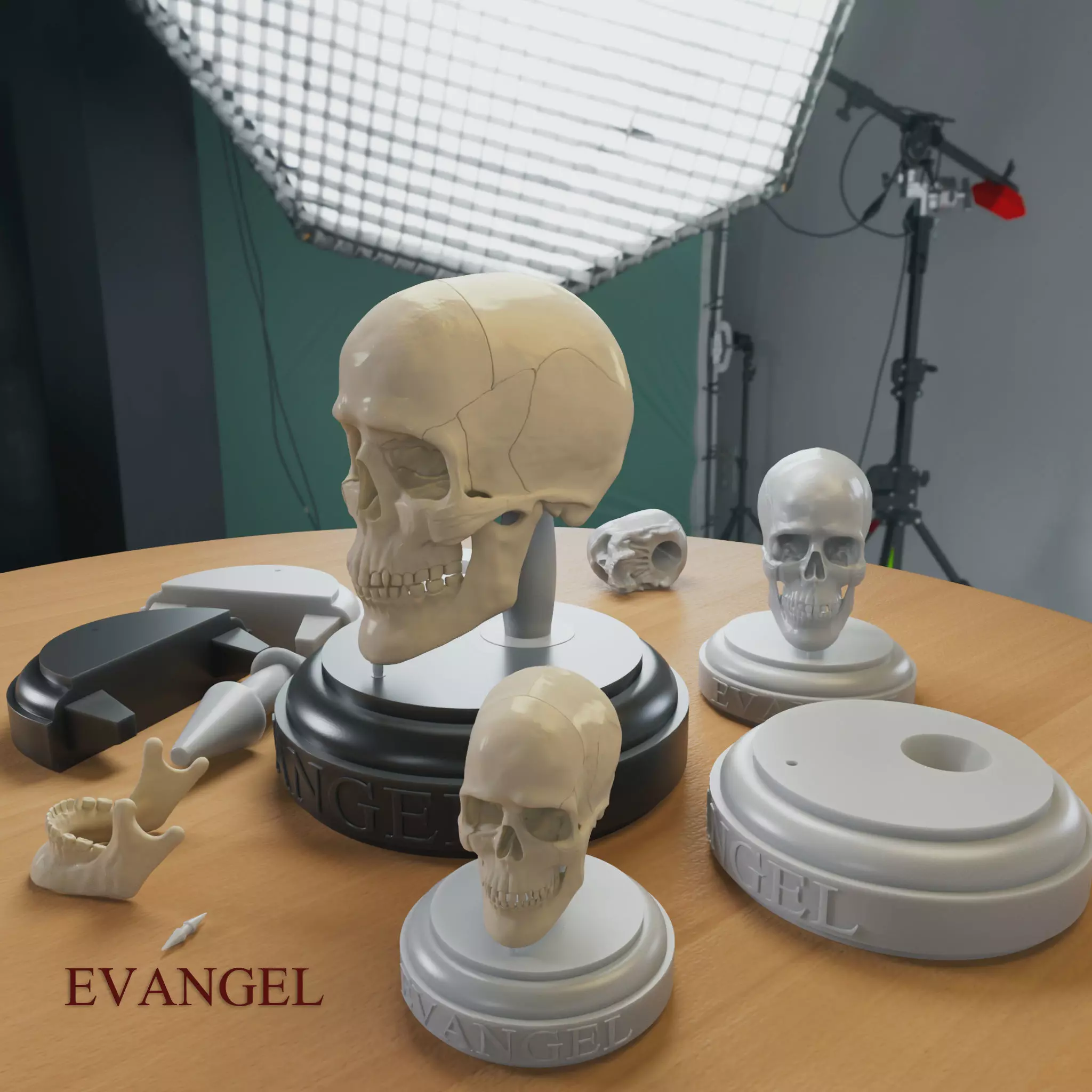 3D Printable Realistic Human Skull Model 3D print model_0