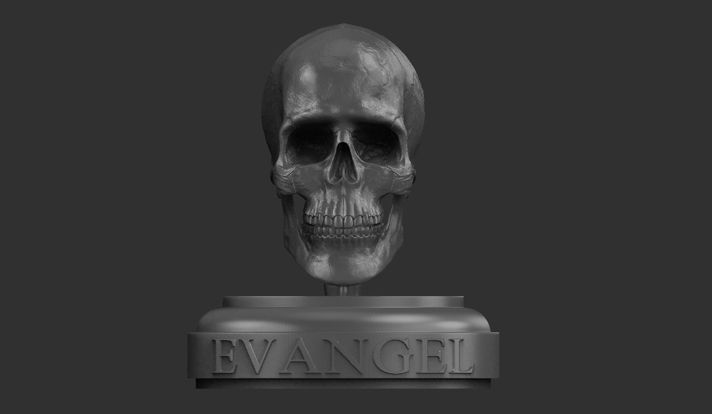3D Printable Realistic Human Skull Model 3D print model_17