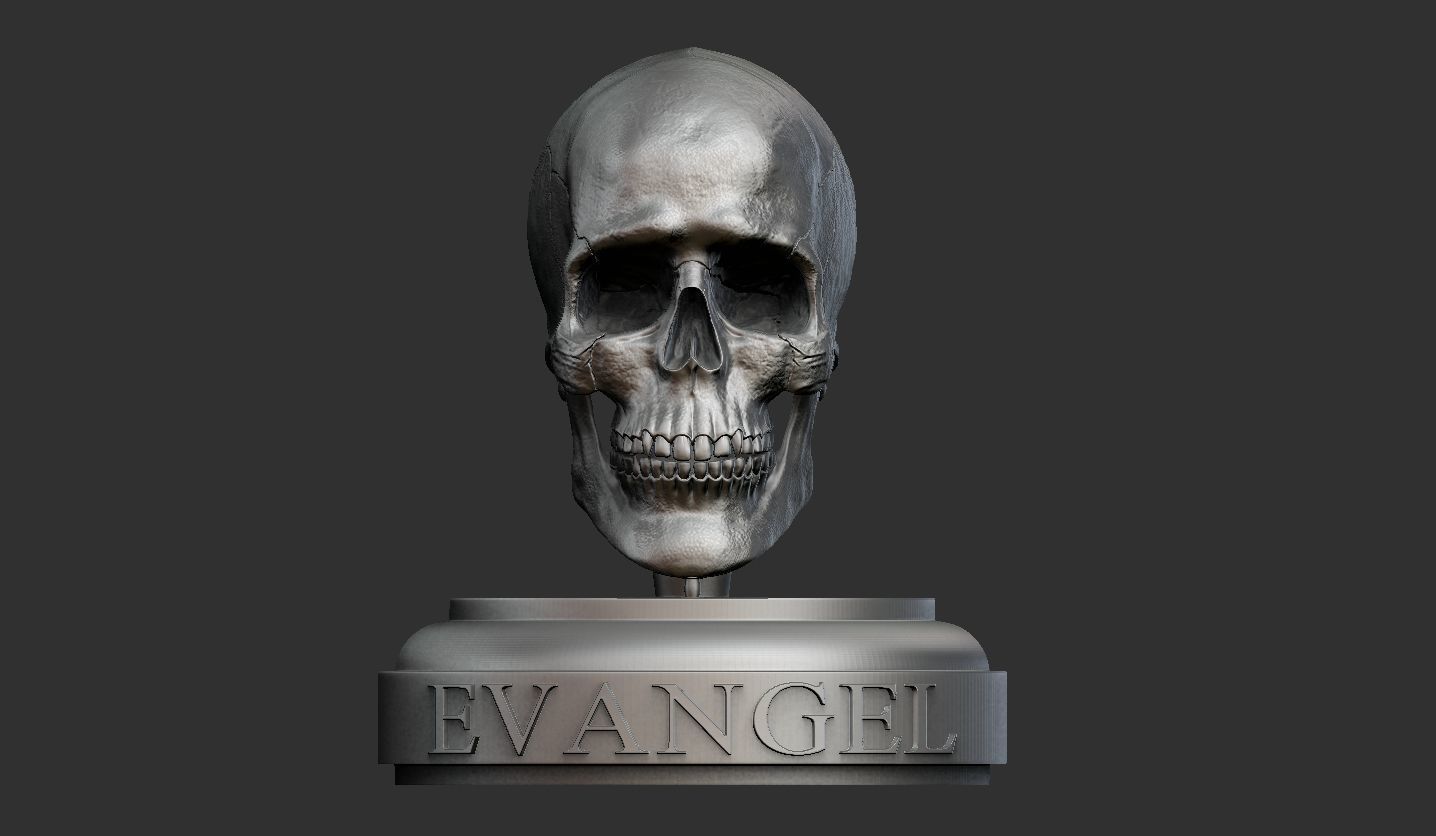 3D Printable Realistic Human Skull Model 3D print model_7