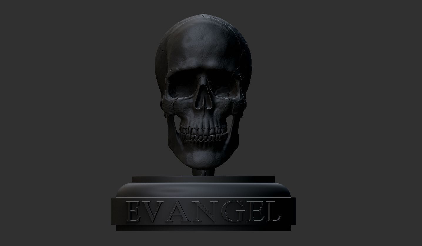 3D Printable Realistic Human Skull Model 3D print model_15
