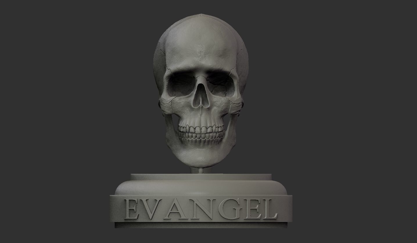 3D Printable Realistic Human Skull Model 3D print model_16