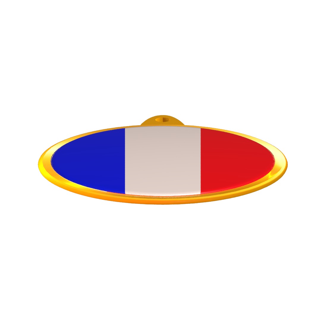 France Flag Golden Medal Badge 3D model_9