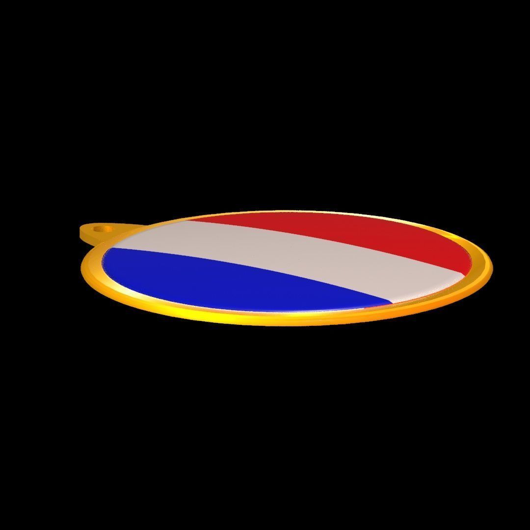 France Flag Golden Medal Badge 3D model_29