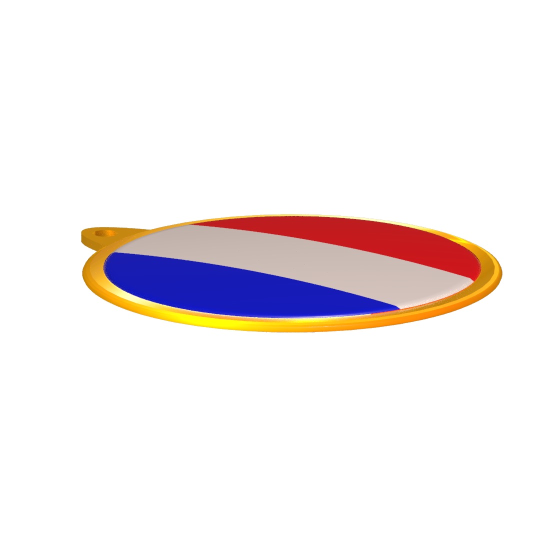 France Flag Golden Medal Badge 3D model_7