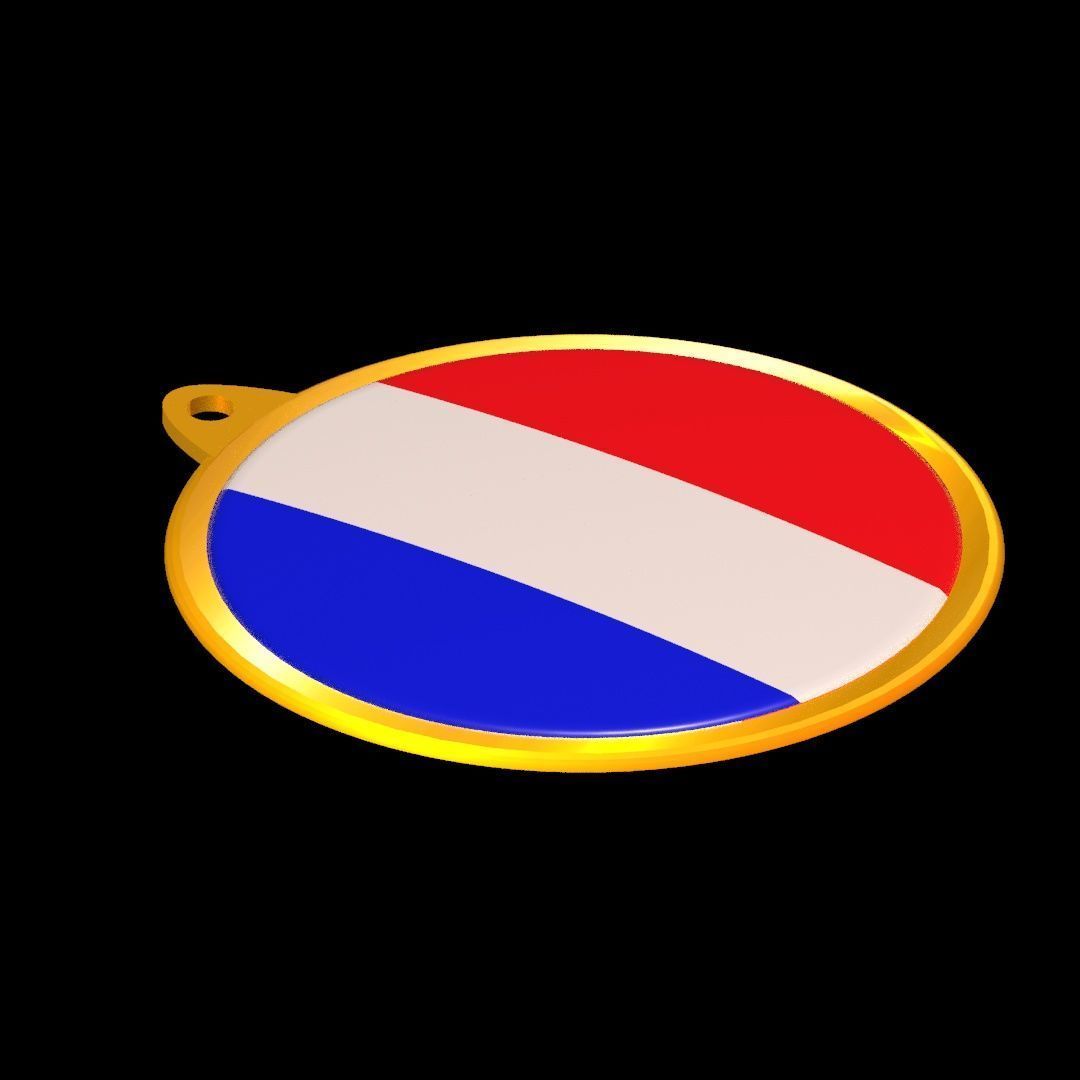 France Flag Golden Medal Badge 3D model_28