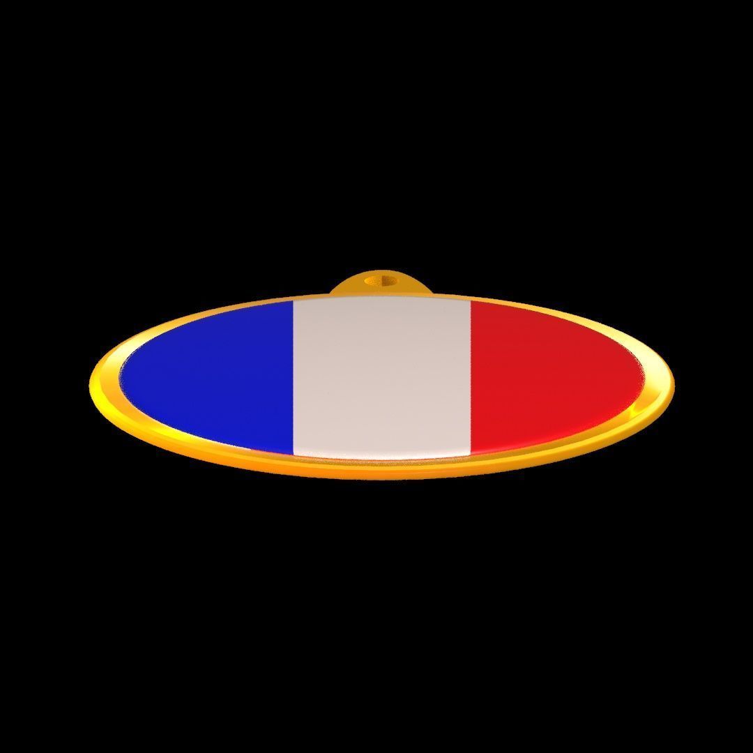 France Flag Golden Medal Badge 3D model_25