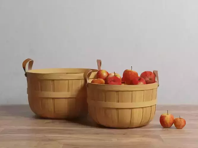 CRATE and BARREL Orchard Basket
