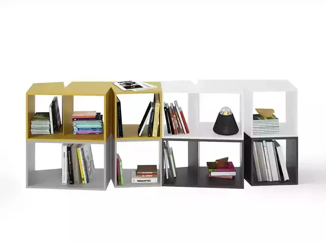 Cuts Bookshelf Composition 2