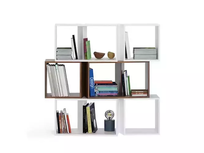 Cuts Bookshelf Composition 3
