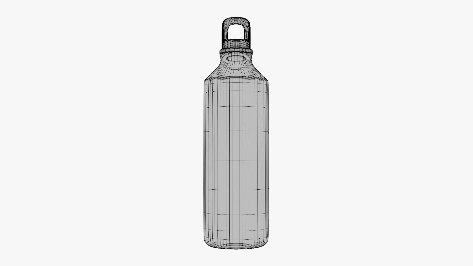 Basic Water Bottle - Geometry Only No Textures No Materials 3D model_5