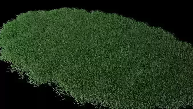 Lawn Grass Model for Exteriors 3D model