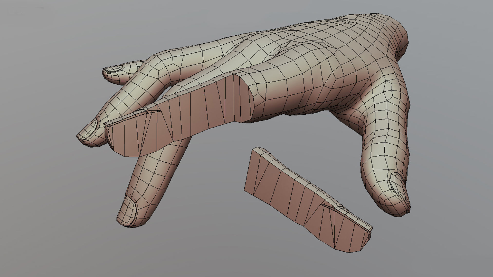 human finger anatomy cross section 3D model_6