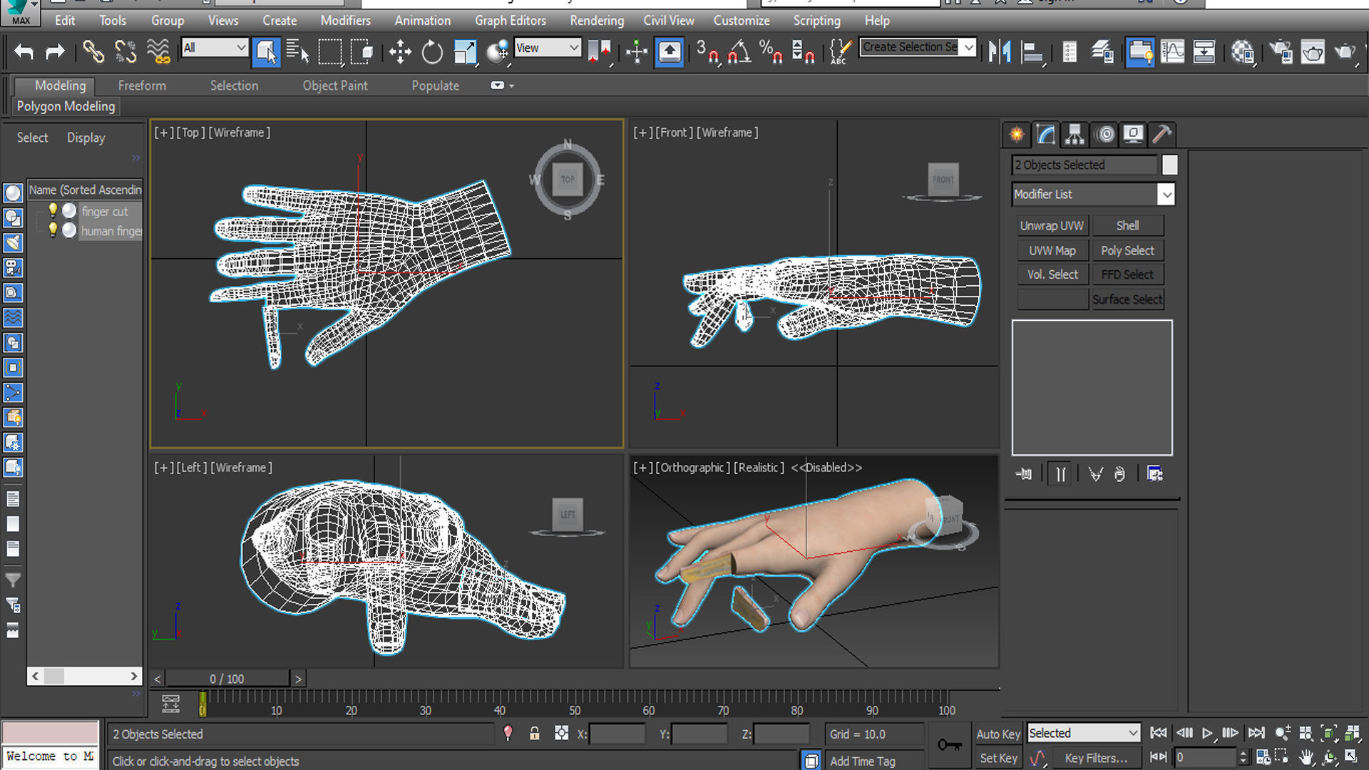 human finger anatomy cross section 3D model_7