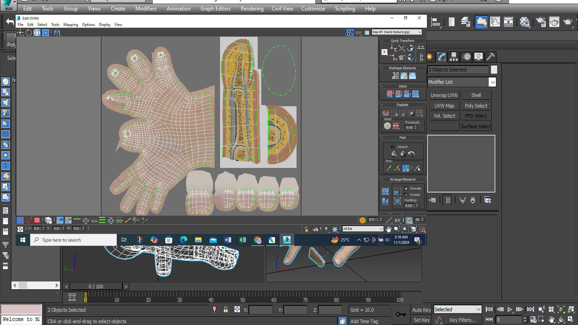 human finger anatomy cross section 3D model_8