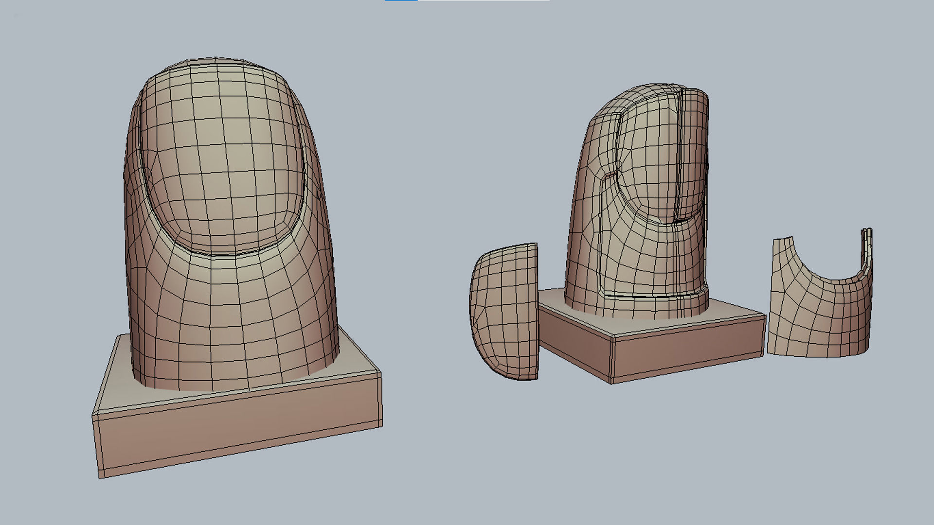 fingernail anatomy 3D model_6