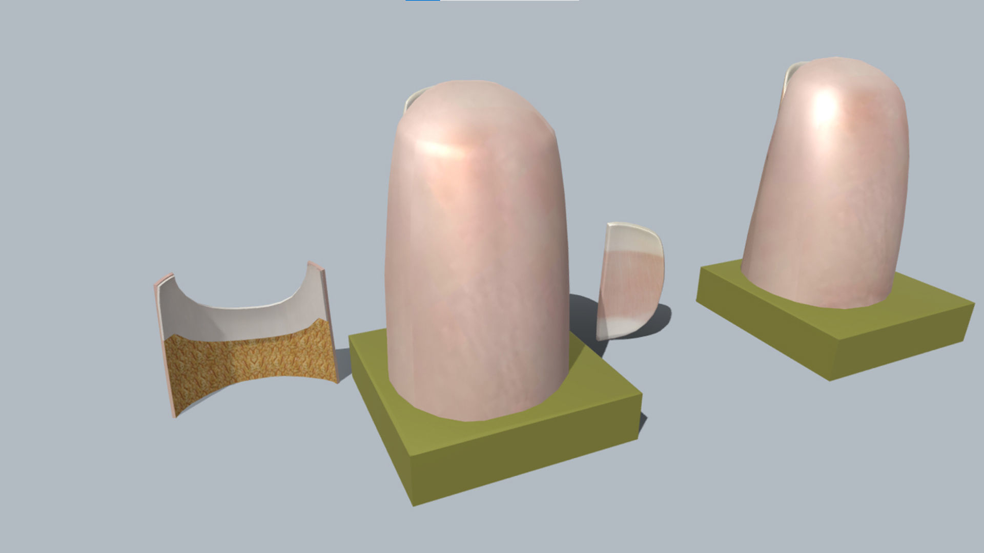fingernail anatomy 3D model_5