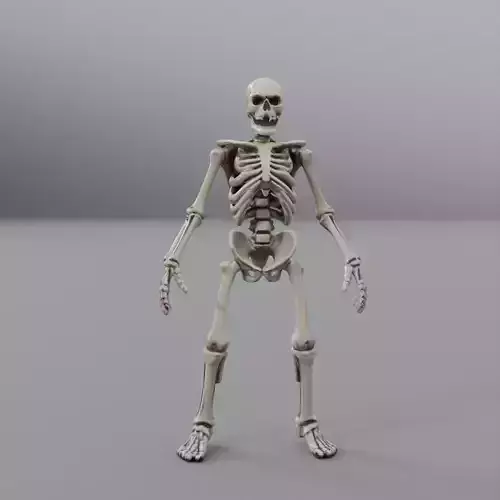 orch skeleton