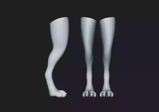 Digitigrade Anthro Legs and Paws 3D model