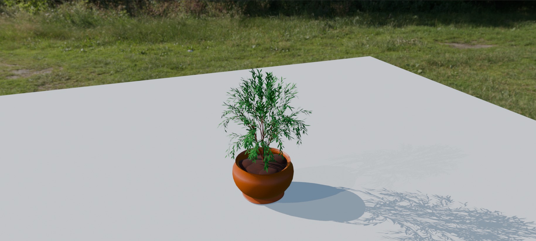 Pot Plant 3D model_3