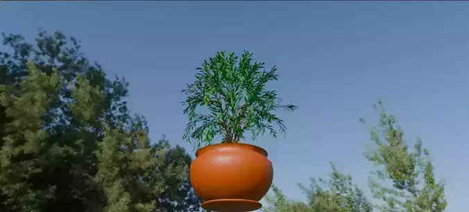 Pot Plant 3D model