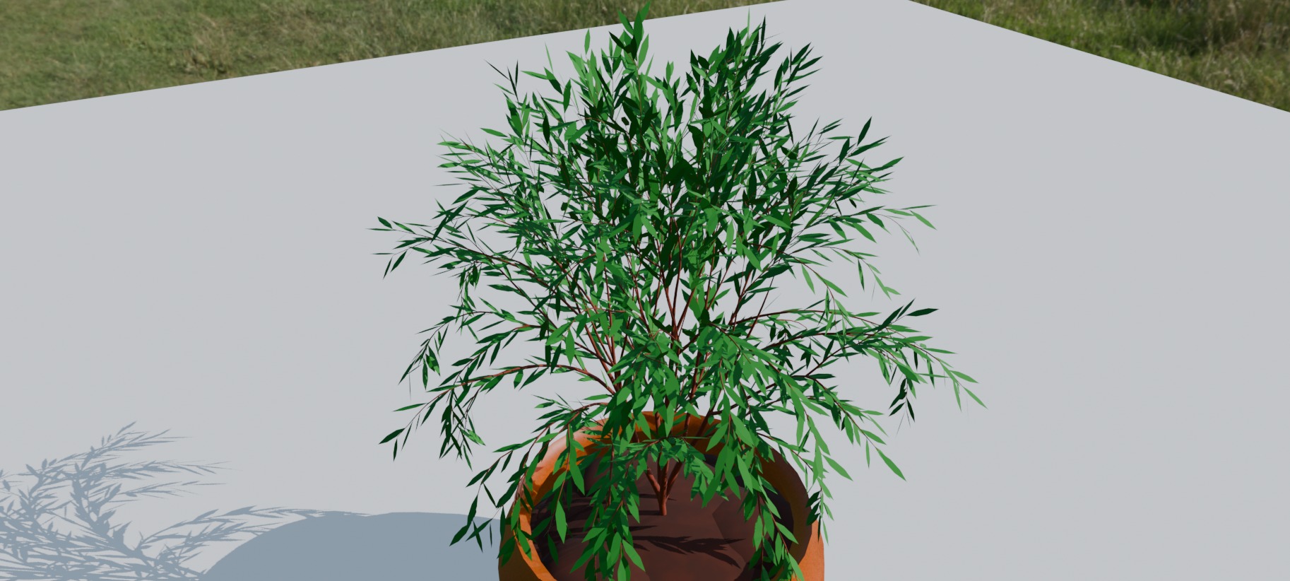 Pot Plant 3D model_2