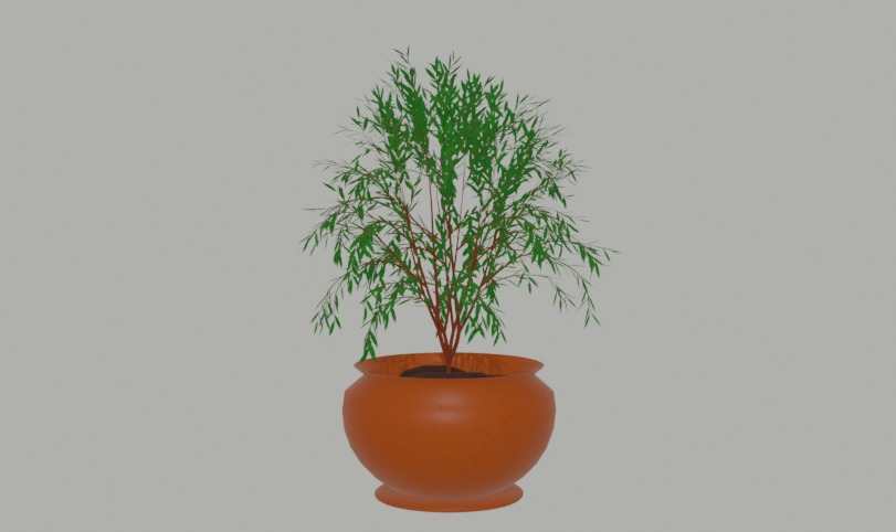 Pot Plant 3D model_6